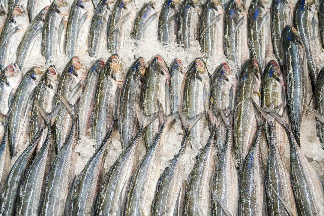 Espèces de saison