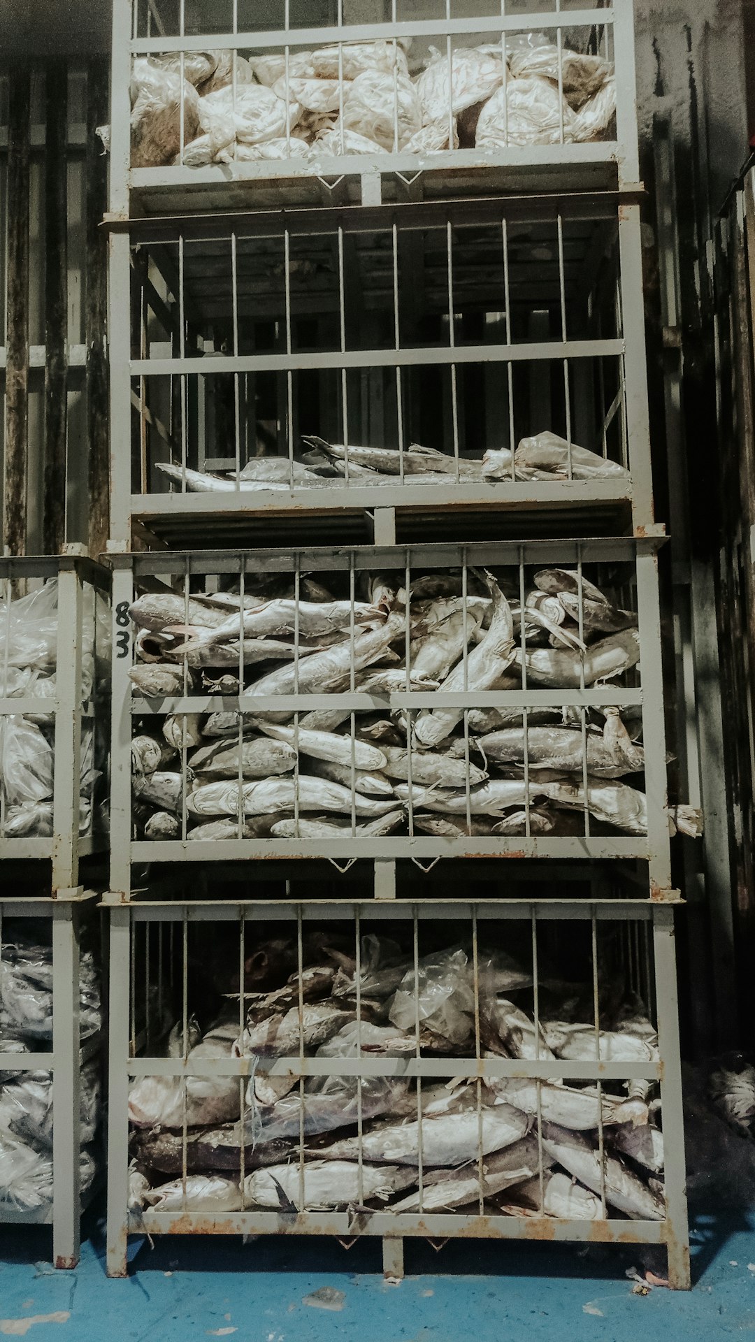 Produits de la mer surgelés