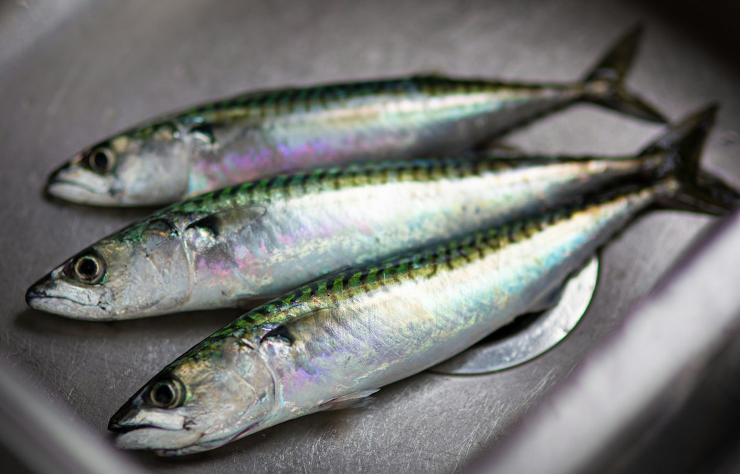 Poissons